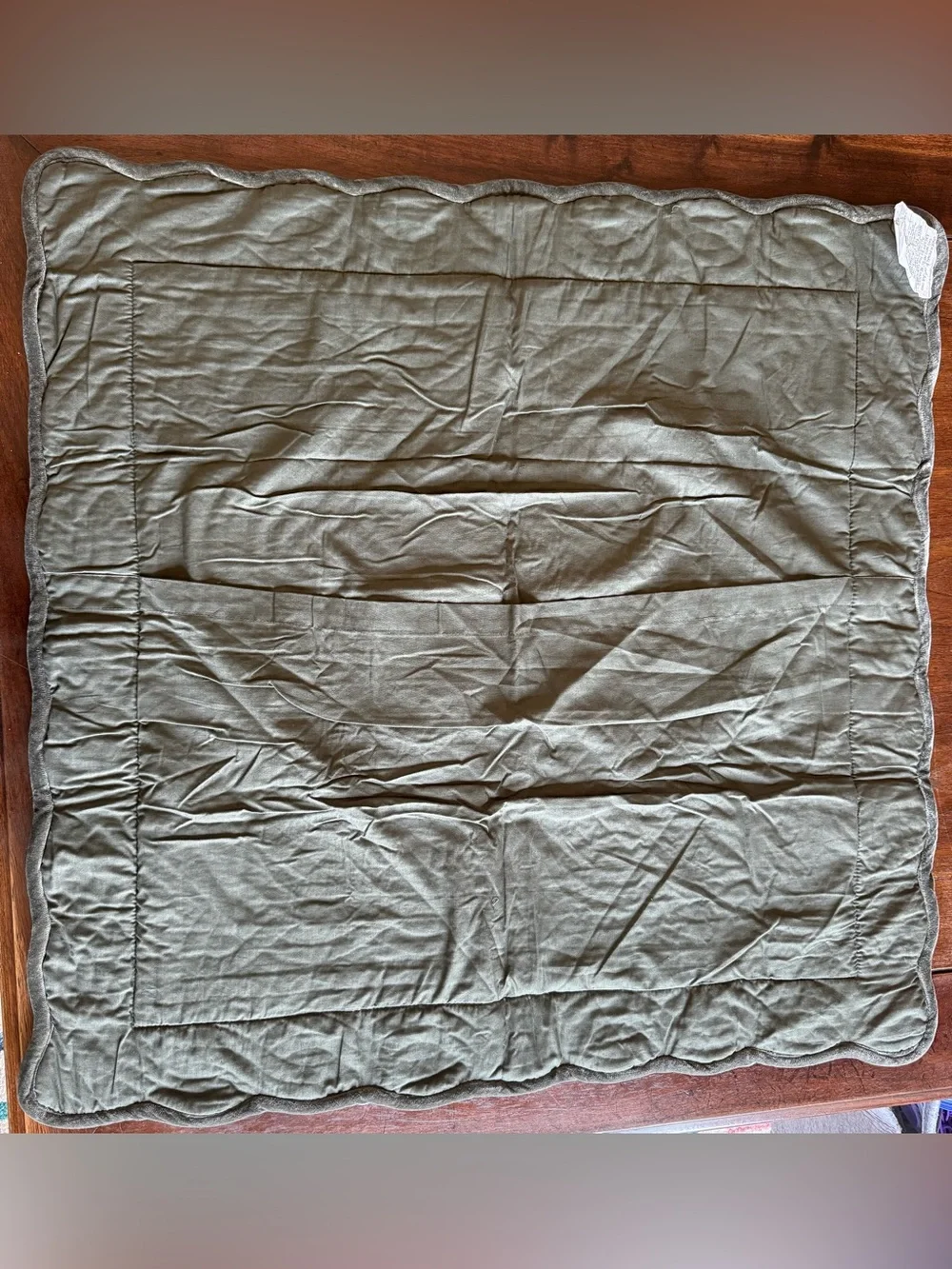 Pottery Barn Velvet Heirloom Quilted Sham